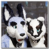 Eurofurence 2014 fursuit photoshoot. Preview picture of JazzBadger, Zuzu